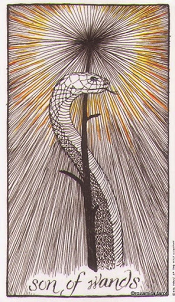 Son of Wands Wild Unknown Tarot