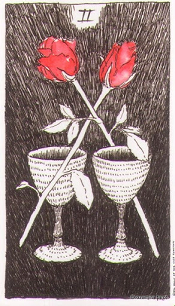 2 of Cups Wild Unknown Tarot
