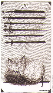 7 of swords Wild Unknown Tarot