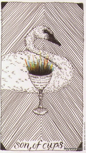 Son of Cups Wild Unknown Tarot