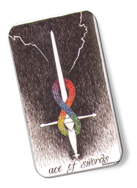  Image description on Ace of Swords Wild Unknown Tarot