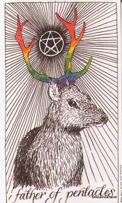 Father of pentacles Wild Unknown Tarot